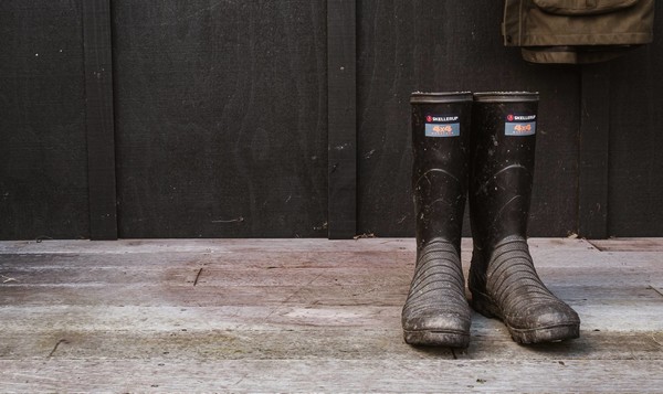 Term deposit rates are falling: Where now for income investors?